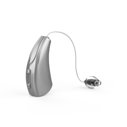 Starkey Evolv AI 2000 RIC 312